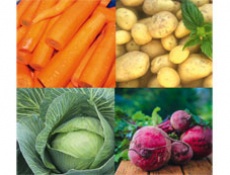 О полезных свойствах картофеля, моркови, свеклы, капусты
