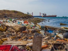 Океан мусора (экологическая страшилка)