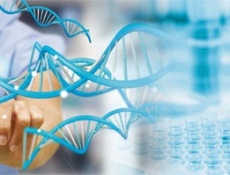 Генотипические и гено-генеалогические исследования